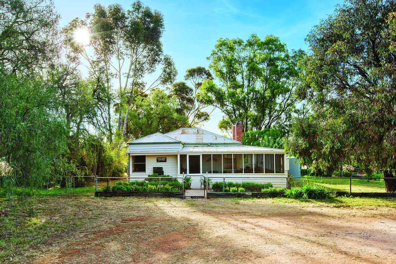 מריבורו Lochinver Homestead And Cottages מראה חיצוני תמונה