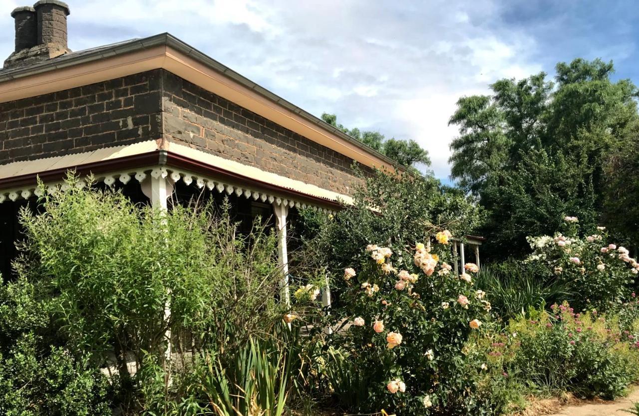 מריבורו Lochinver Homestead And Cottages מראה חיצוני תמונה